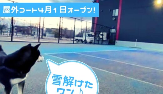 2021年4月1日 屋外テニスコートオープン 札幌レンタルテニスコート プレイスオブスポーツネオ